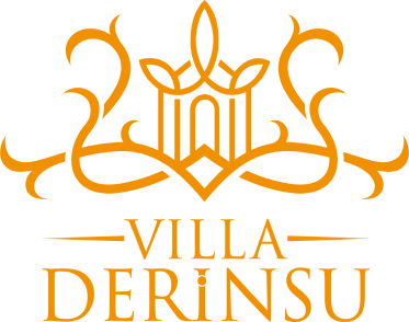 Villa Derinsu